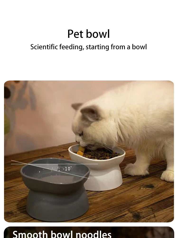 Elevated Anti-Vomiting Reversible Cat Bowl