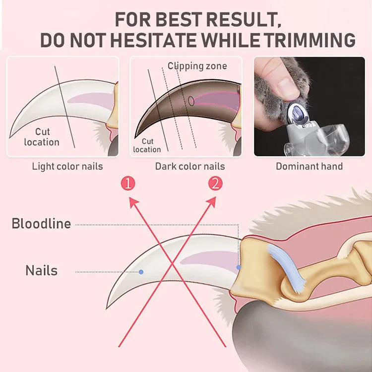 Professional LED Pet Nail Clippers & Claw Trimmer