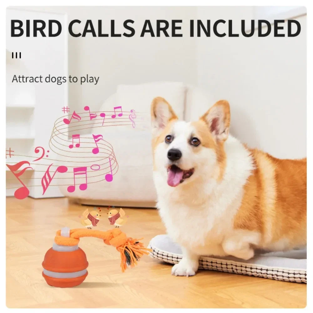 Premium Motion Activated Interactive Dog Ball