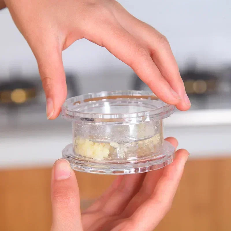 Premium Manual Twist Garlic Crusher Box
