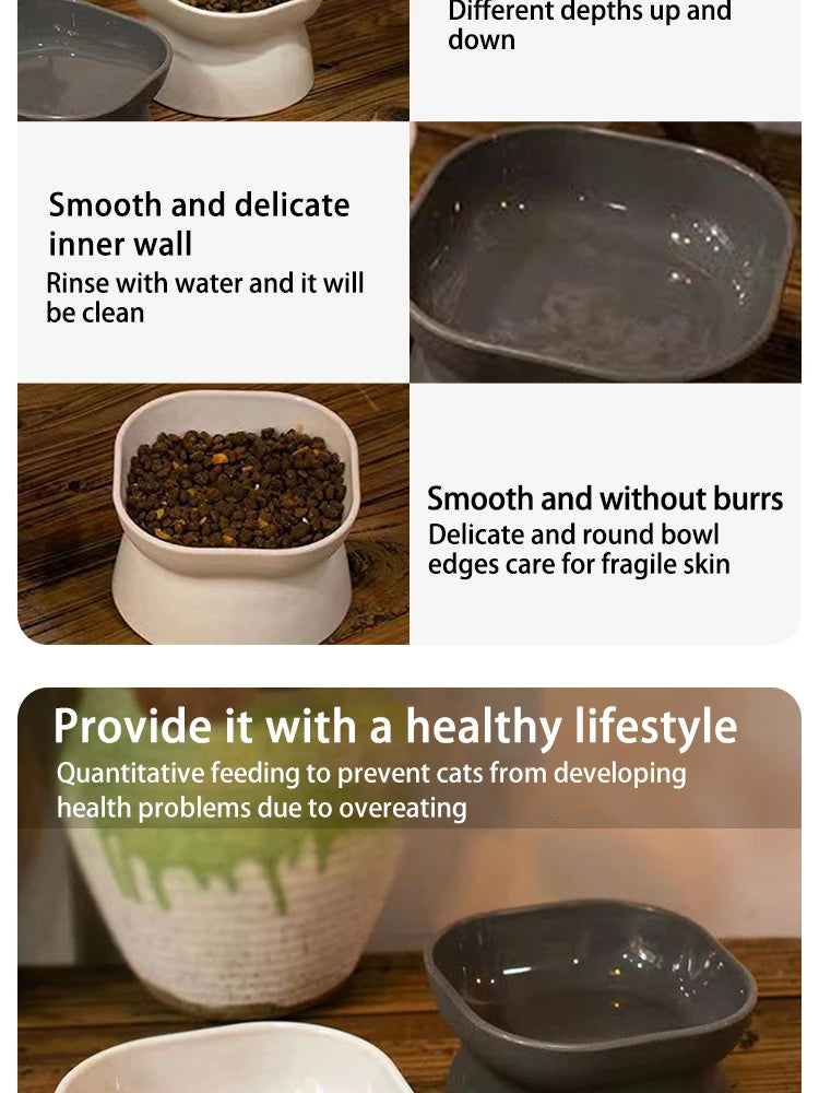 Elevated Anti-Vomiting Reversible Cat Bowl
