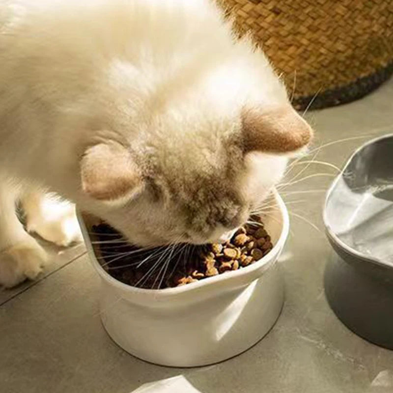 Elevated Anti-Vomiting Reversible Cat Bowl
