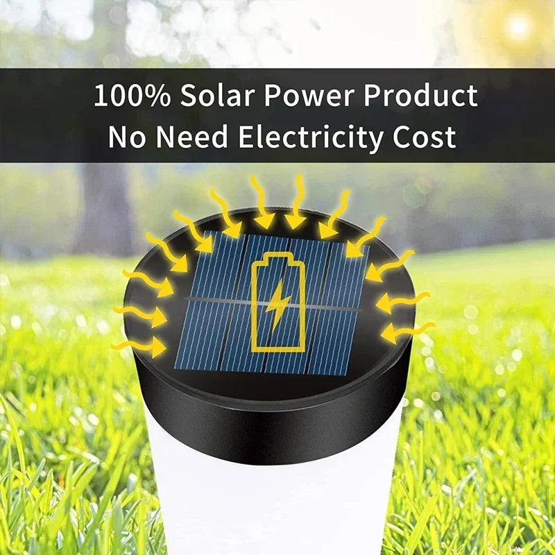 Stainless Steel Solar LED Pathway Lights