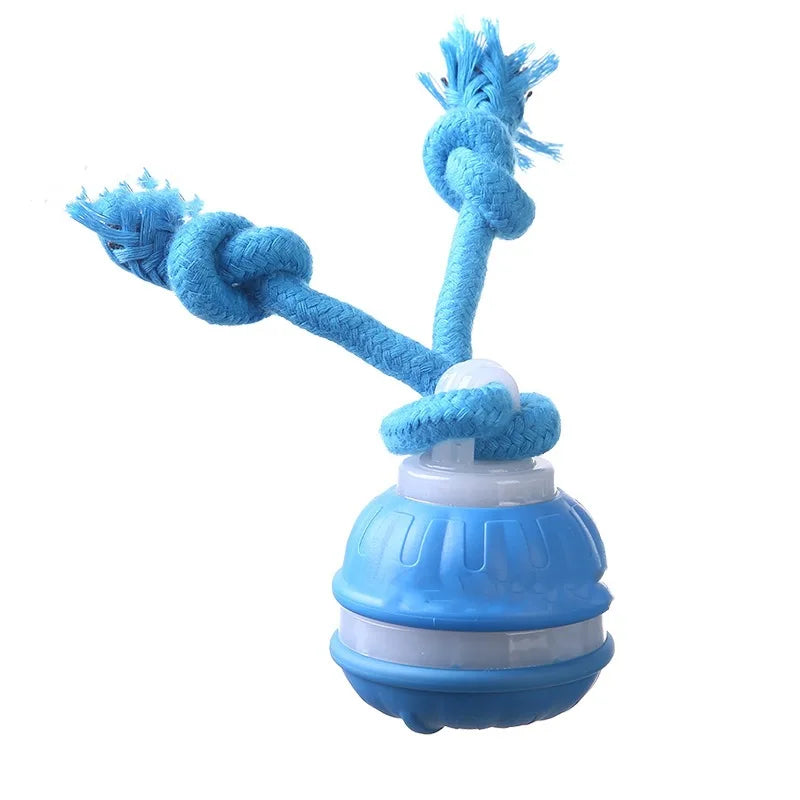 Premium Motion Activated Interactive Dog Ball