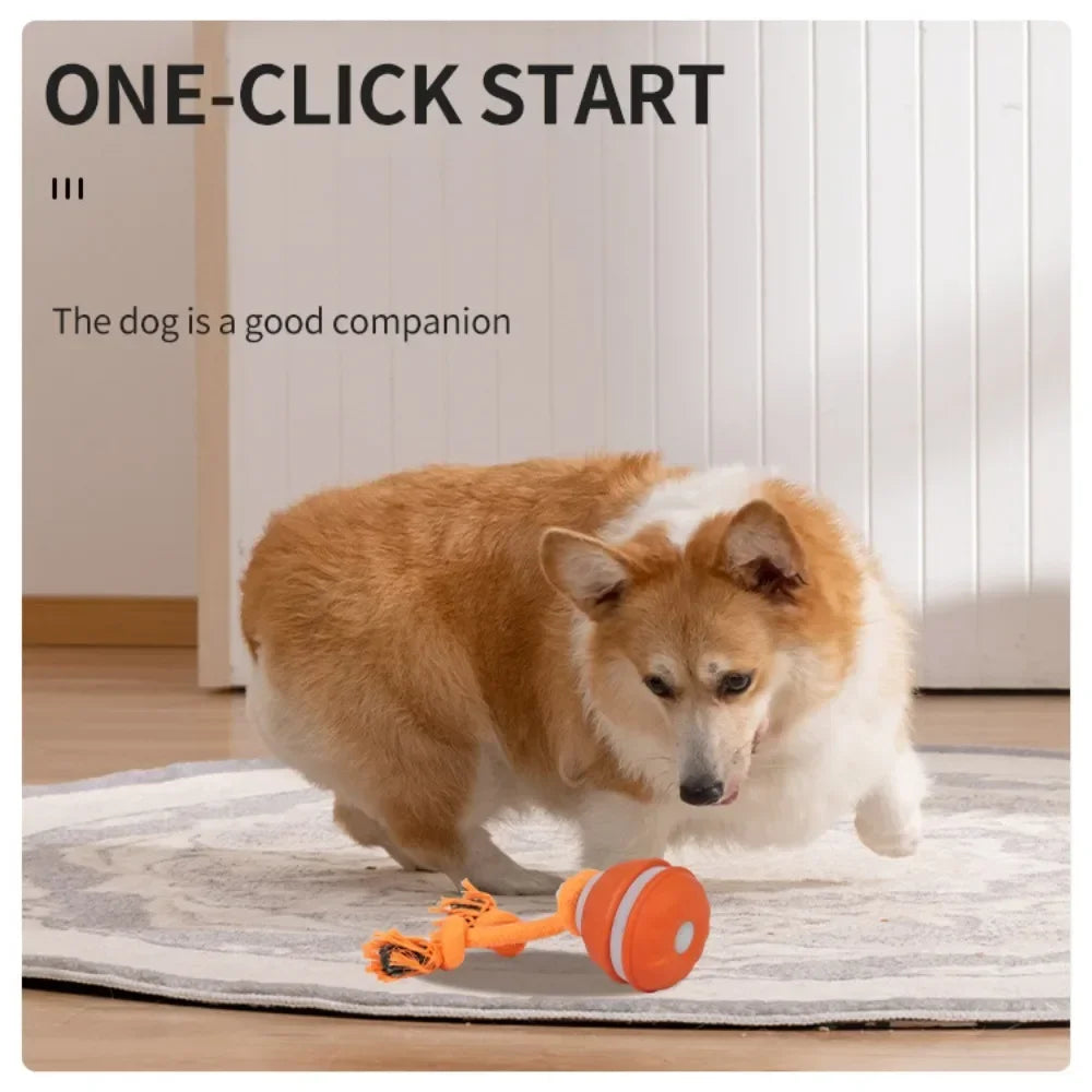 Premium Motion Activated Interactive Dog Ball