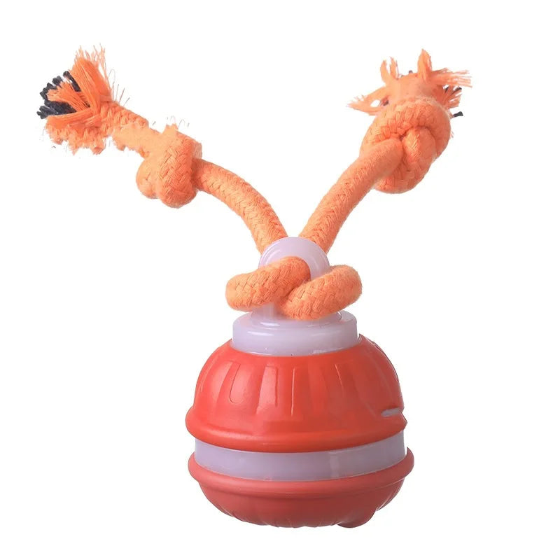 Premium Motion Activated Interactive Dog Ball