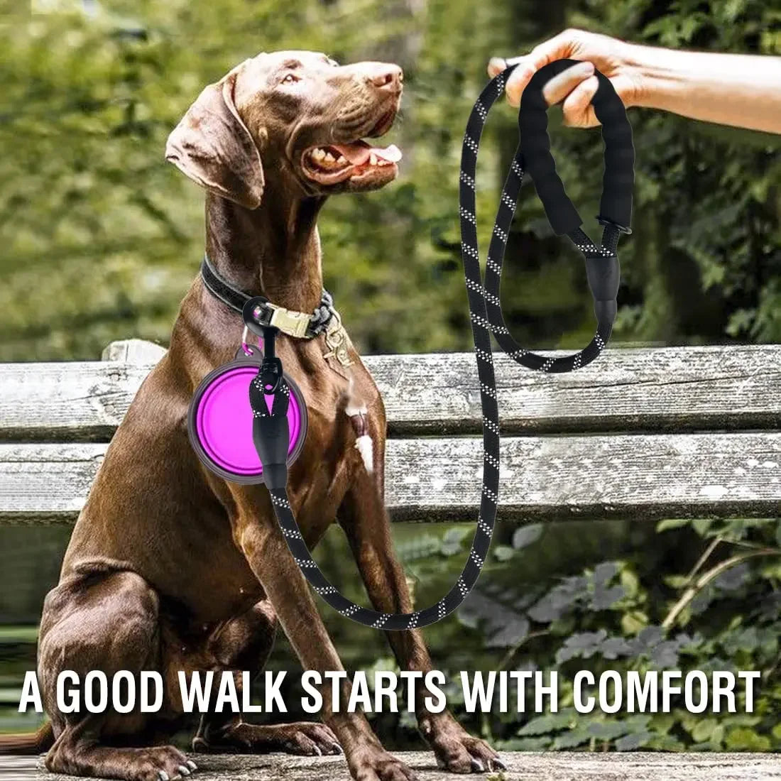 Heavy Duty Reflective Dog Leash for Large Medium Small Dogs -  Nylon Pet Leash with Shock-Absorbent Padded Handle for Pullers - Lead for Golden Retriever, Lab, Pitbull