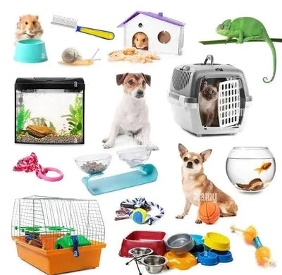 Pet Accessories